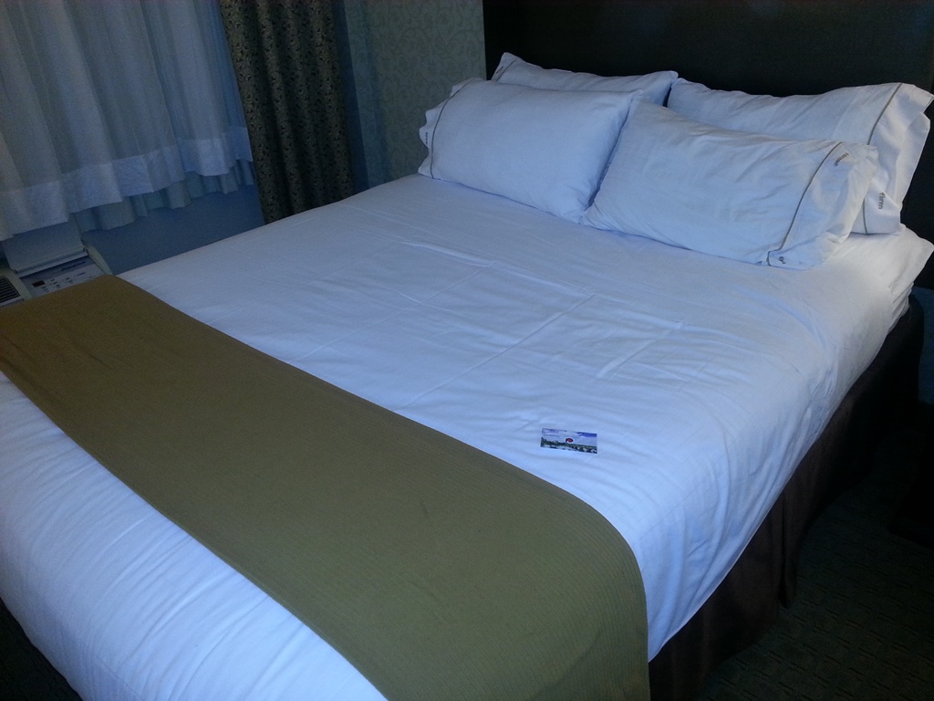 Holiday Inn Express & Suites Ottawa Airport (1)