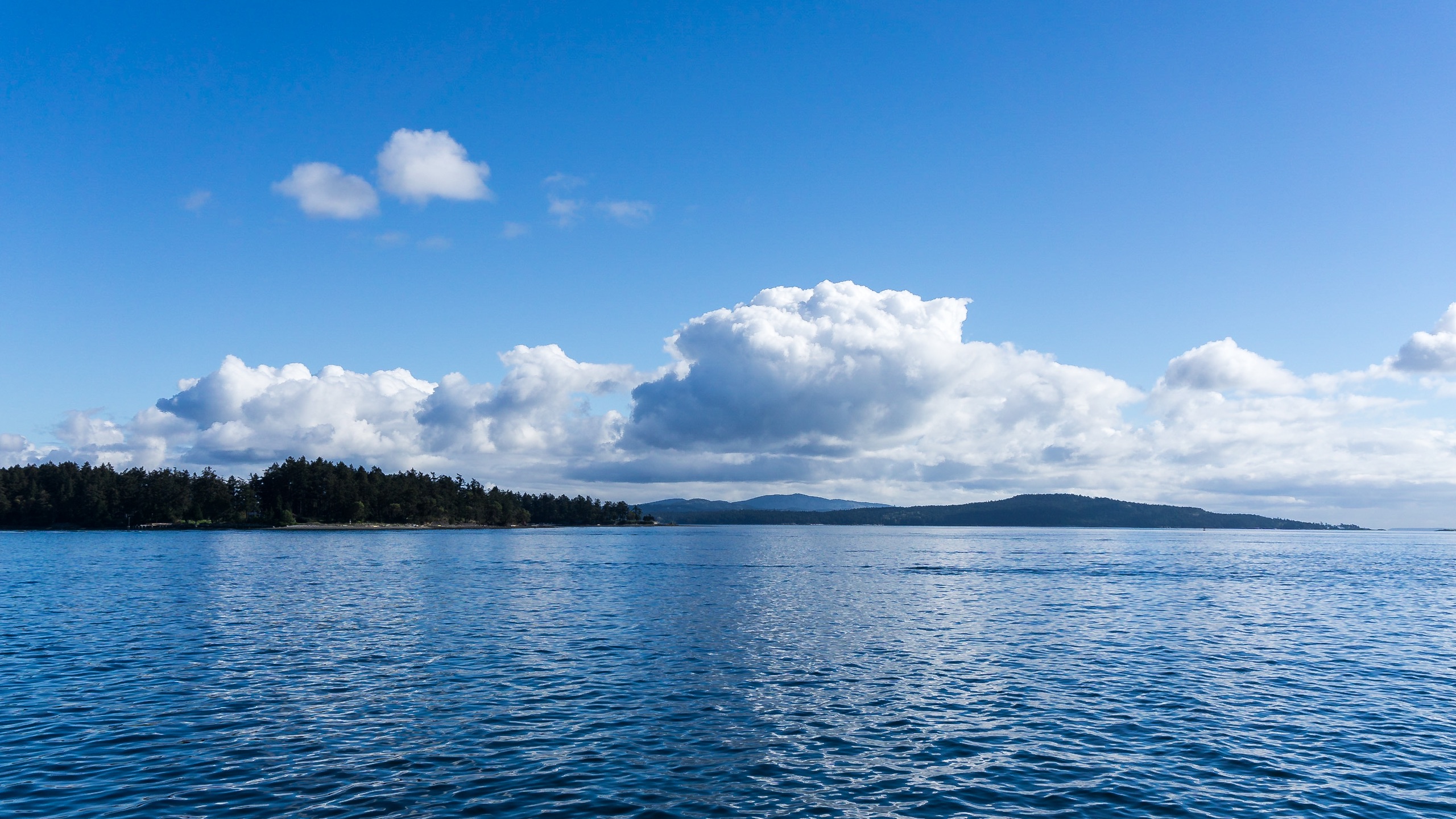 View from the BC Ferry via Swartz Bay-Fulford Harbour route